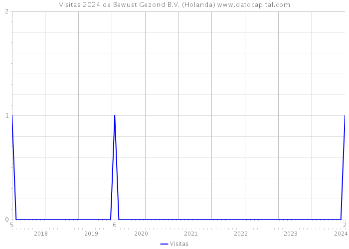 Visitas 2024 de Bewust Gezond B.V. (Holanda) 