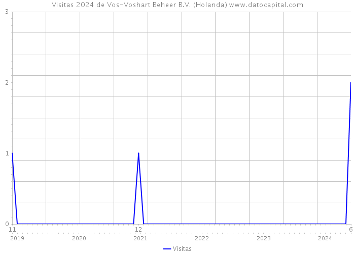 Visitas 2024 de Vos-Voshart Beheer B.V. (Holanda) 