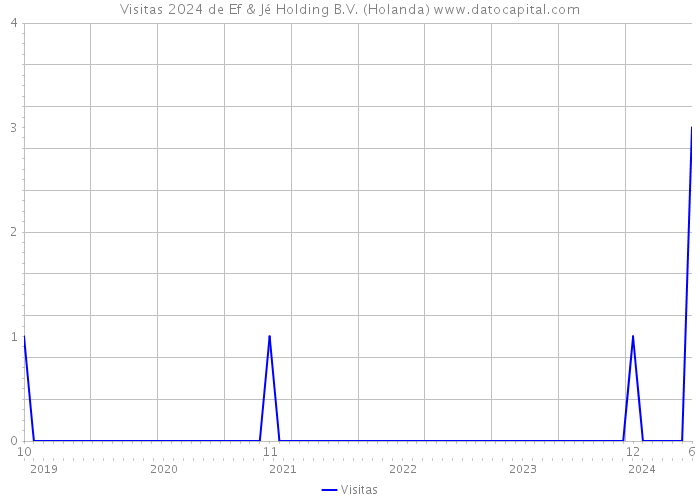 Visitas 2024 de Ef & Jé Holding B.V. (Holanda) 