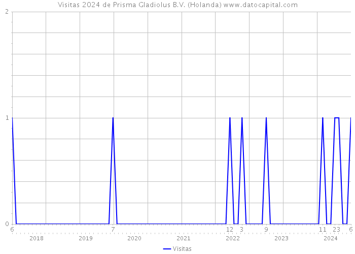 Visitas 2024 de Prisma Gladiolus B.V. (Holanda) 