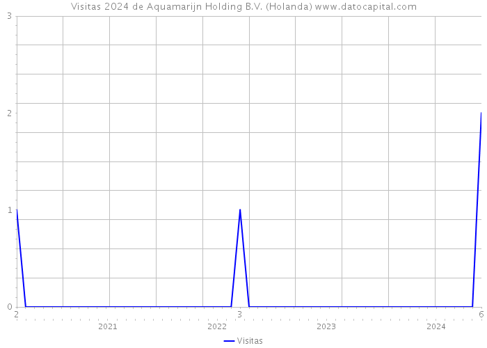 Visitas 2024 de Aquamarijn Holding B.V. (Holanda) 