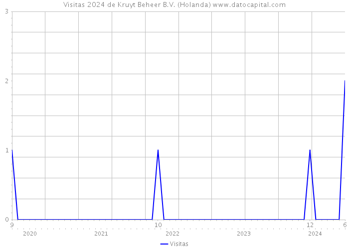 Visitas 2024 de Kruyt Beheer B.V. (Holanda) 