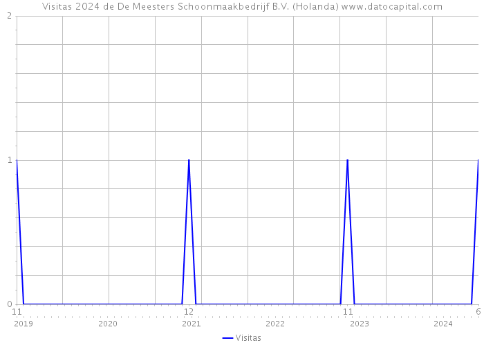 Visitas 2024 de De Meesters Schoonmaakbedrijf B.V. (Holanda) 