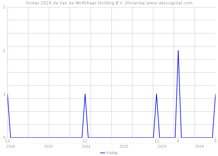 Visitas 2024 de Van de Wolfshaar Holding B.V. (Holanda) 