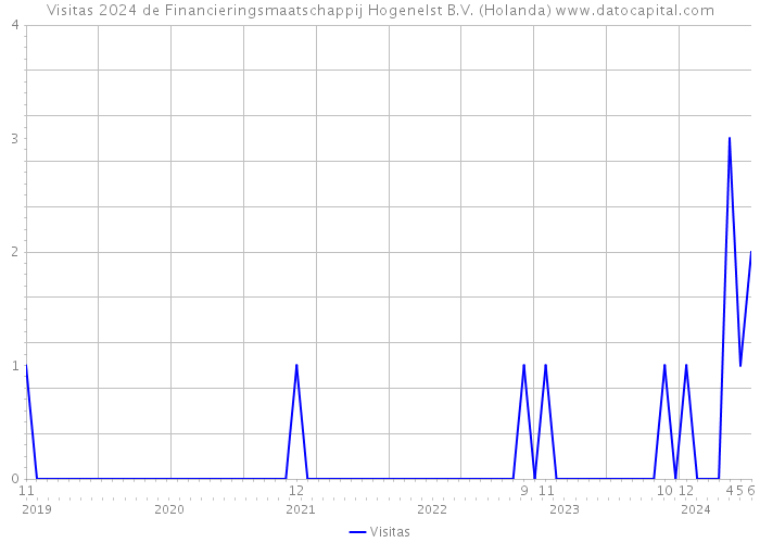 Visitas 2024 de Financieringsmaatschappij Hogenelst B.V. (Holanda) 