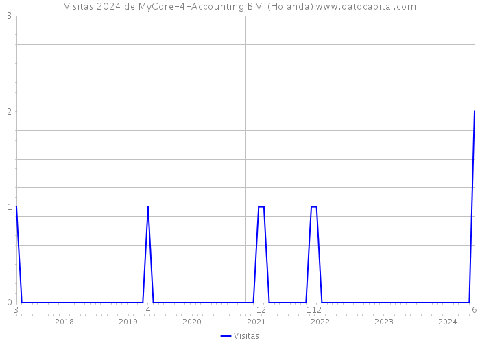 Visitas 2024 de MyCore-4-Accounting B.V. (Holanda) 