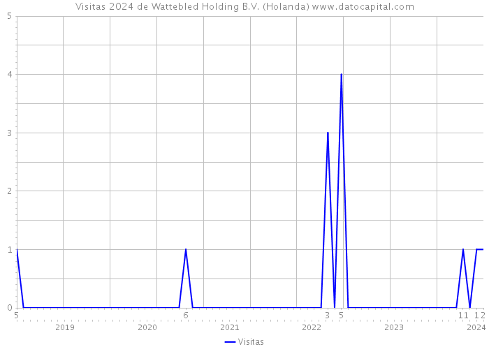 Visitas 2024 de Wattebled Holding B.V. (Holanda) 