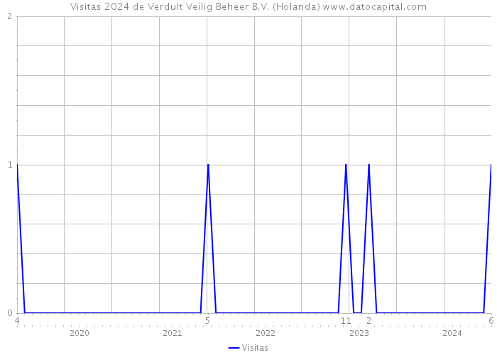 Visitas 2024 de Verdult Veilig Beheer B.V. (Holanda) 