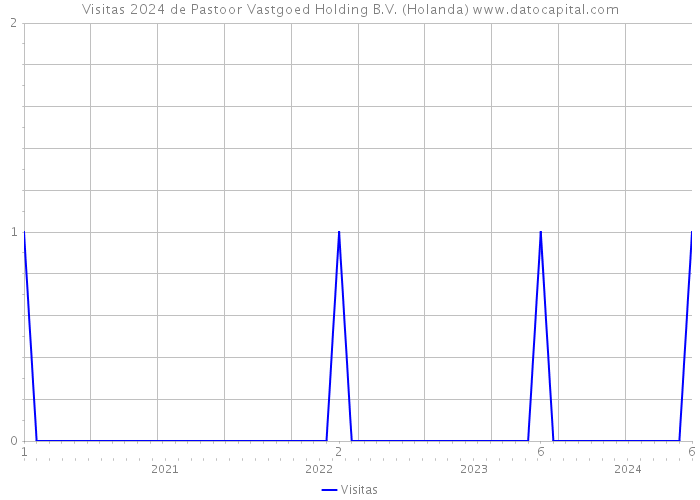 Visitas 2024 de Pastoor Vastgoed Holding B.V. (Holanda) 