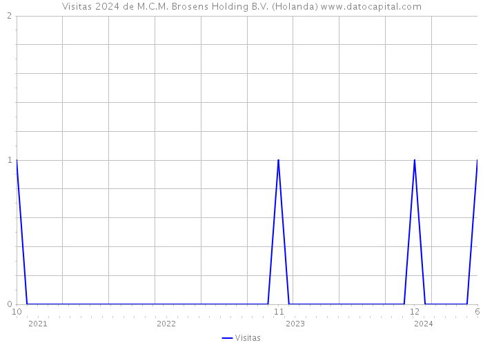 Visitas 2024 de M.C.M. Brosens Holding B.V. (Holanda) 