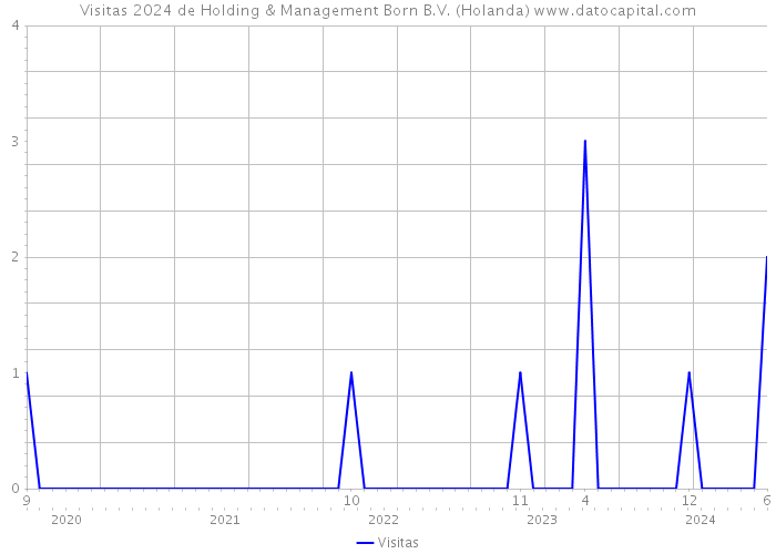 Visitas 2024 de Holding & Management Born B.V. (Holanda) 