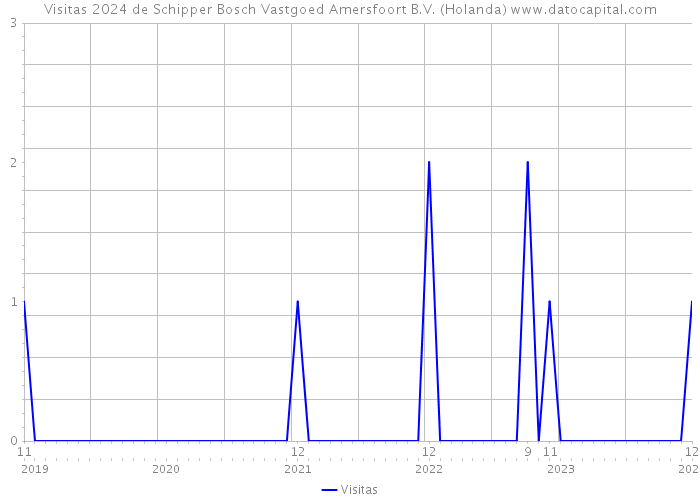 Visitas 2024 de Schipper Bosch Vastgoed Amersfoort B.V. (Holanda) 