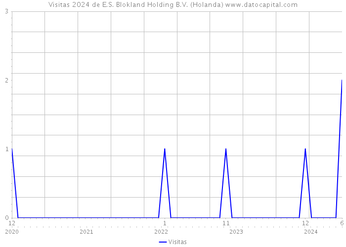 Visitas 2024 de E.S. Blokland Holding B.V. (Holanda) 
