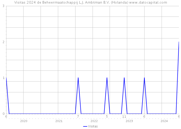 Visitas 2024 de Beheermaatschappij L.J. Ambtman B.V. (Holanda) 