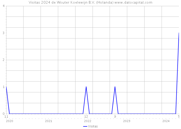 Visitas 2024 de Wouter Koelewijn B.V. (Holanda) 