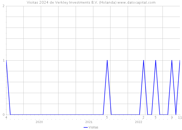 Visitas 2024 de Verkley Investments B.V. (Holanda) 