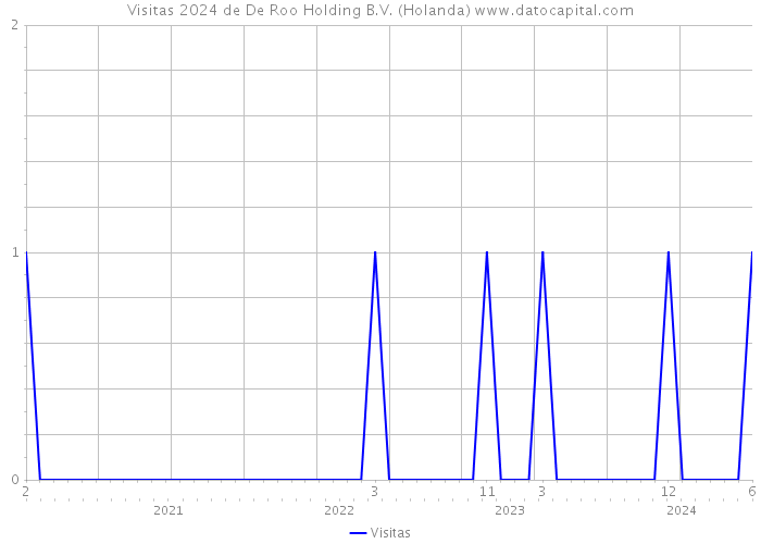 Visitas 2024 de De Roo Holding B.V. (Holanda) 