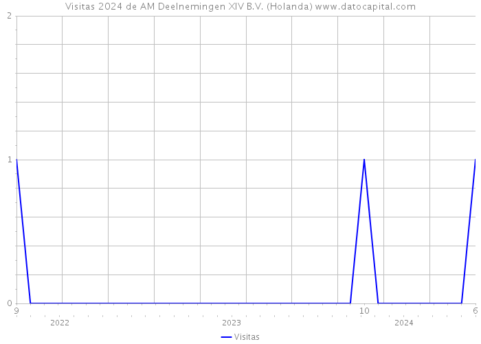 Visitas 2024 de AM Deelnemingen XIV B.V. (Holanda) 