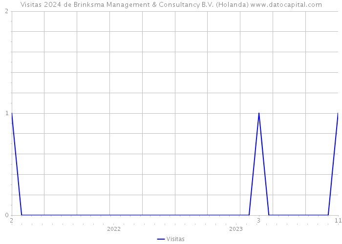 Visitas 2024 de Brinksma Management & Consultancy B.V. (Holanda) 