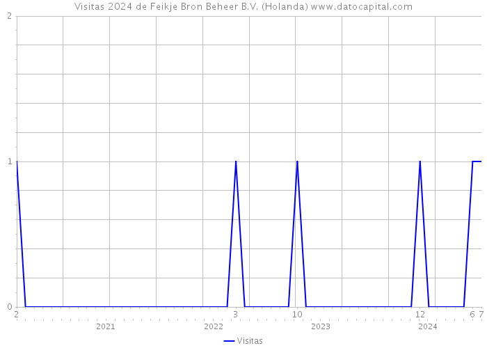 Visitas 2024 de Feikje Bron Beheer B.V. (Holanda) 