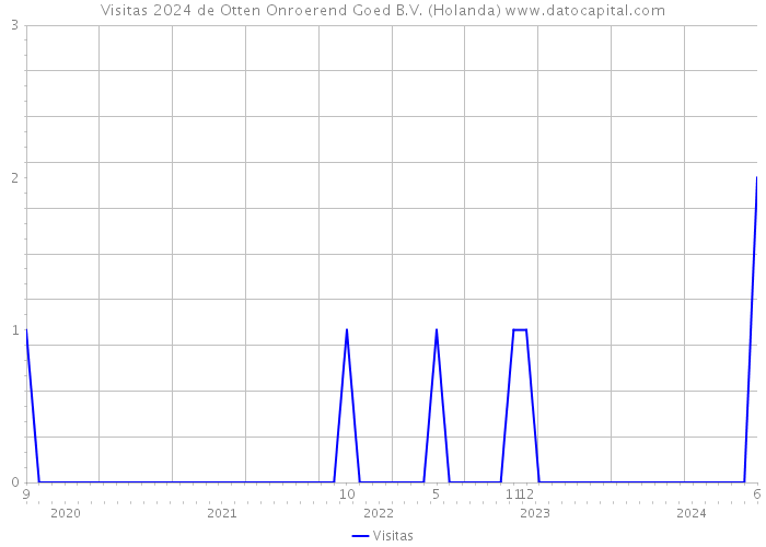 Visitas 2024 de Otten Onroerend Goed B.V. (Holanda) 