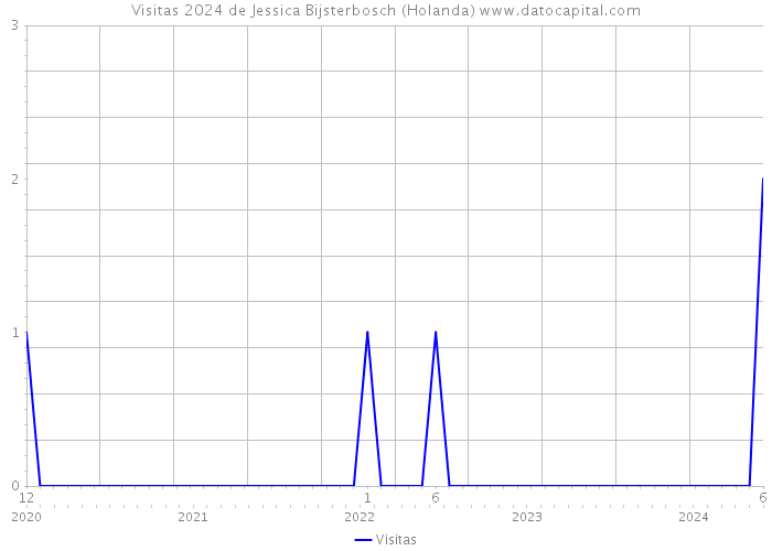 Visitas 2024 de Jessica Bijsterbosch (Holanda) 