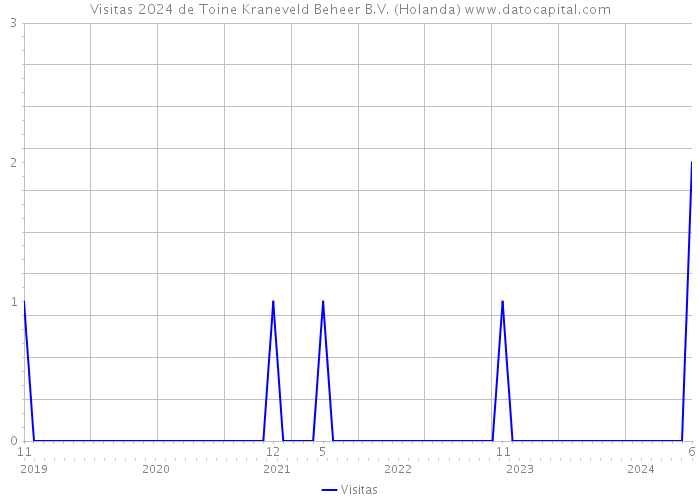 Visitas 2024 de Toine Kraneveld Beheer B.V. (Holanda) 