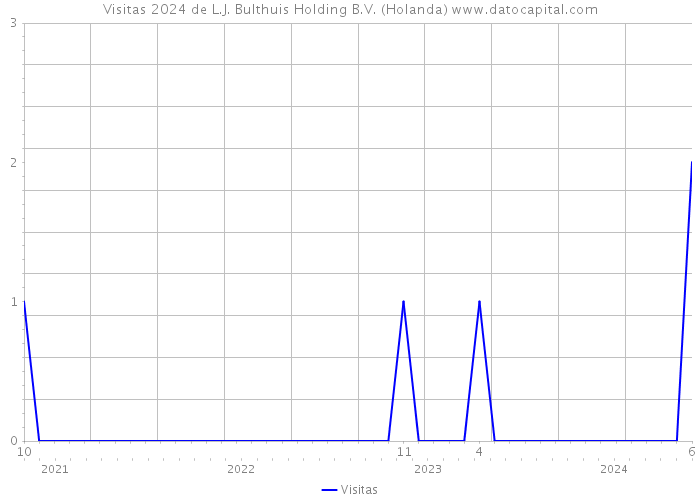 Visitas 2024 de L.J. Bulthuis Holding B.V. (Holanda) 