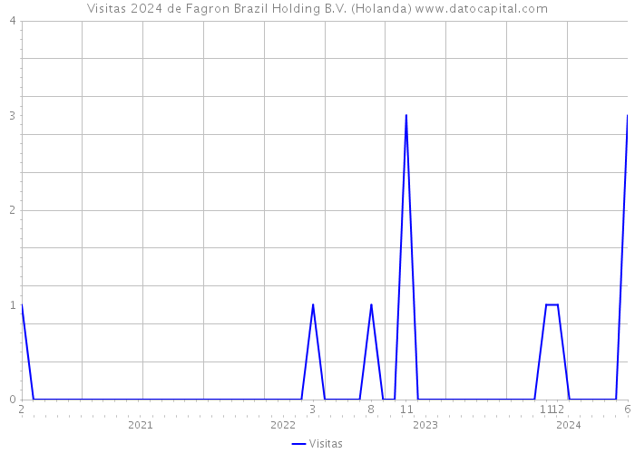 Visitas 2024 de Fagron Brazil Holding B.V. (Holanda) 