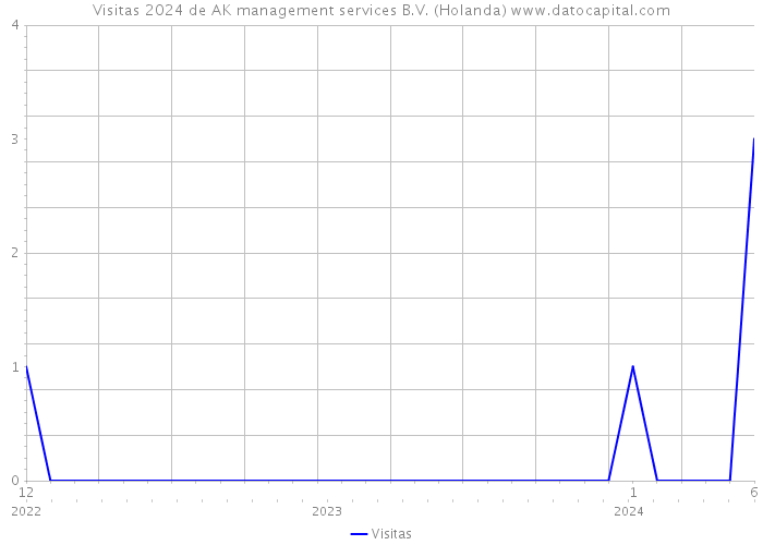 Visitas 2024 de AK management services B.V. (Holanda) 