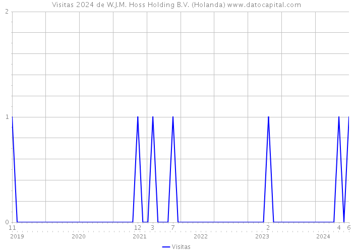 Visitas 2024 de W.J.M. Hoss Holding B.V. (Holanda) 