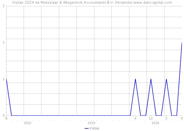 Visitas 2024 de Metzelaar & Wiegerinck Accountants B.V. (Holanda) 