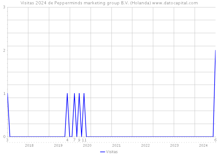 Visitas 2024 de Pepperminds marketing group B.V. (Holanda) 