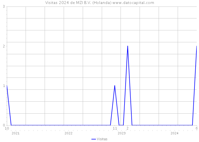 Visitas 2024 de MZI B.V. (Holanda) 