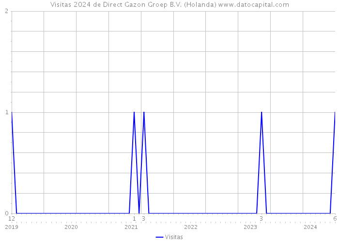 Visitas 2024 de Direct Gazon Groep B.V. (Holanda) 