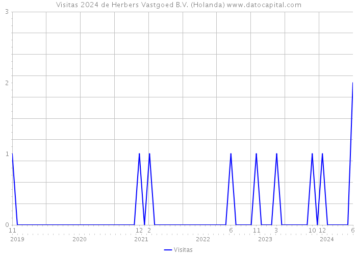 Visitas 2024 de Herbers Vastgoed B.V. (Holanda) 