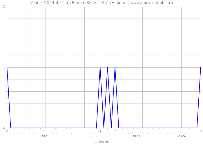 Visitas 2024 de Tom Foolen Beheer B.V. (Holanda) 