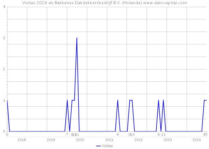 Visitas 2024 de Bakkenes Dakdekkersbedrijf B.V. (Holanda) 