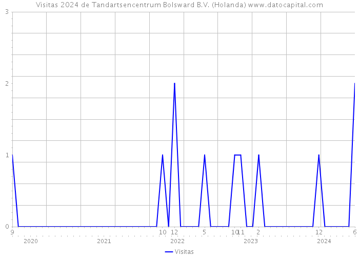 Visitas 2024 de Tandartsencentrum Bolsward B.V. (Holanda) 