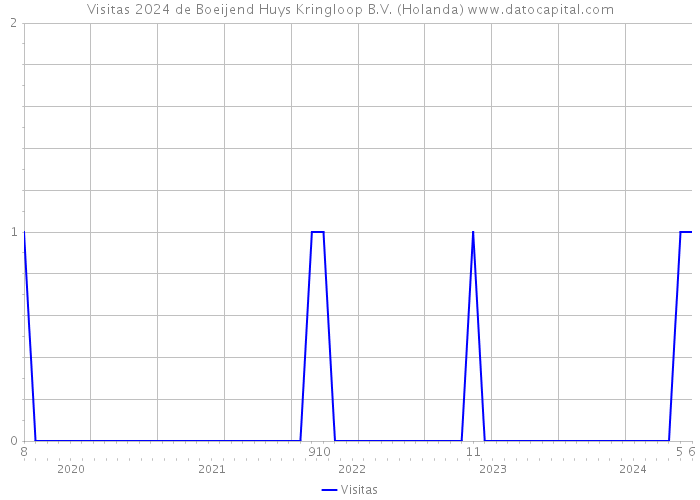 Visitas 2024 de Boeijend Huys Kringloop B.V. (Holanda) 
