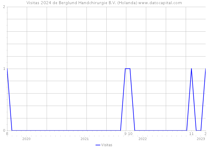 Visitas 2024 de Berglund Handchirurgie B.V. (Holanda) 
