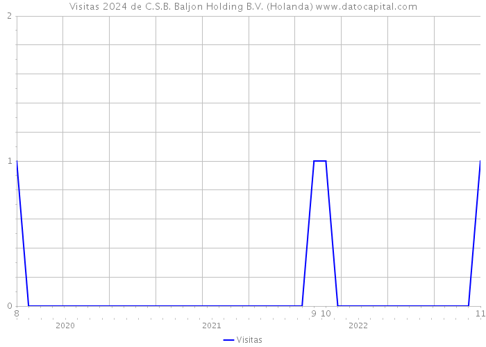 Visitas 2024 de C.S.B. Baljon Holding B.V. (Holanda) 