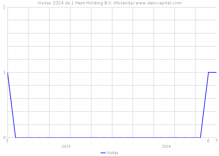 Visitas 2024 de J. Ham Holding B.V. (Holanda) 