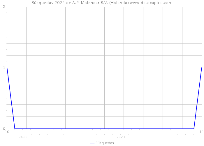 Búsquedas 2024 de A.P. Molenaar B.V. (Holanda) 