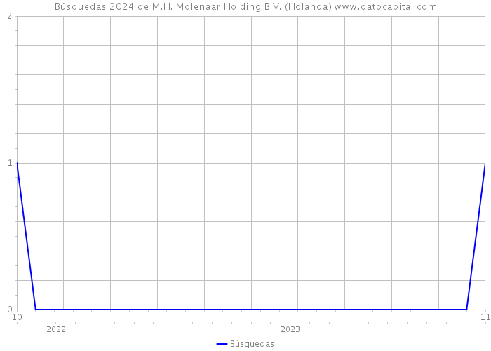 Búsquedas 2024 de M.H. Molenaar Holding B.V. (Holanda) 