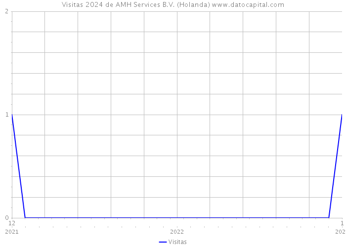 Visitas 2024 de AMH Services B.V. (Holanda) 