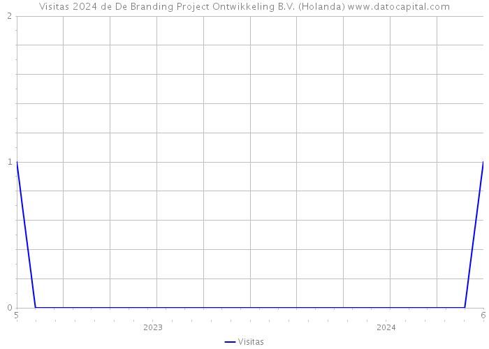 Visitas 2024 de De Branding Project Ontwikkeling B.V. (Holanda) 