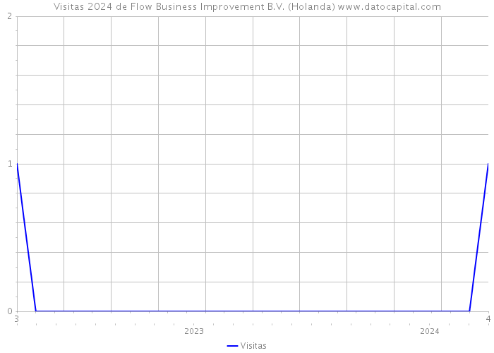 Visitas 2024 de Flow Business Improvement B.V. (Holanda) 