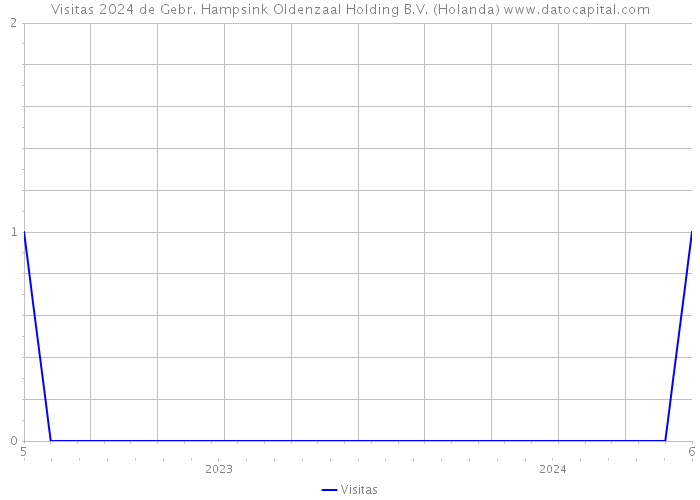 Visitas 2024 de Gebr. Hampsink Oldenzaal Holding B.V. (Holanda) 