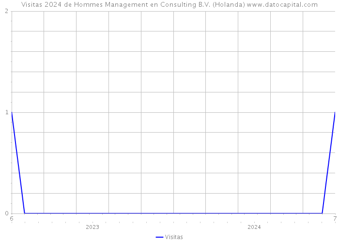 Visitas 2024 de Hommes Management en Consulting B.V. (Holanda) 